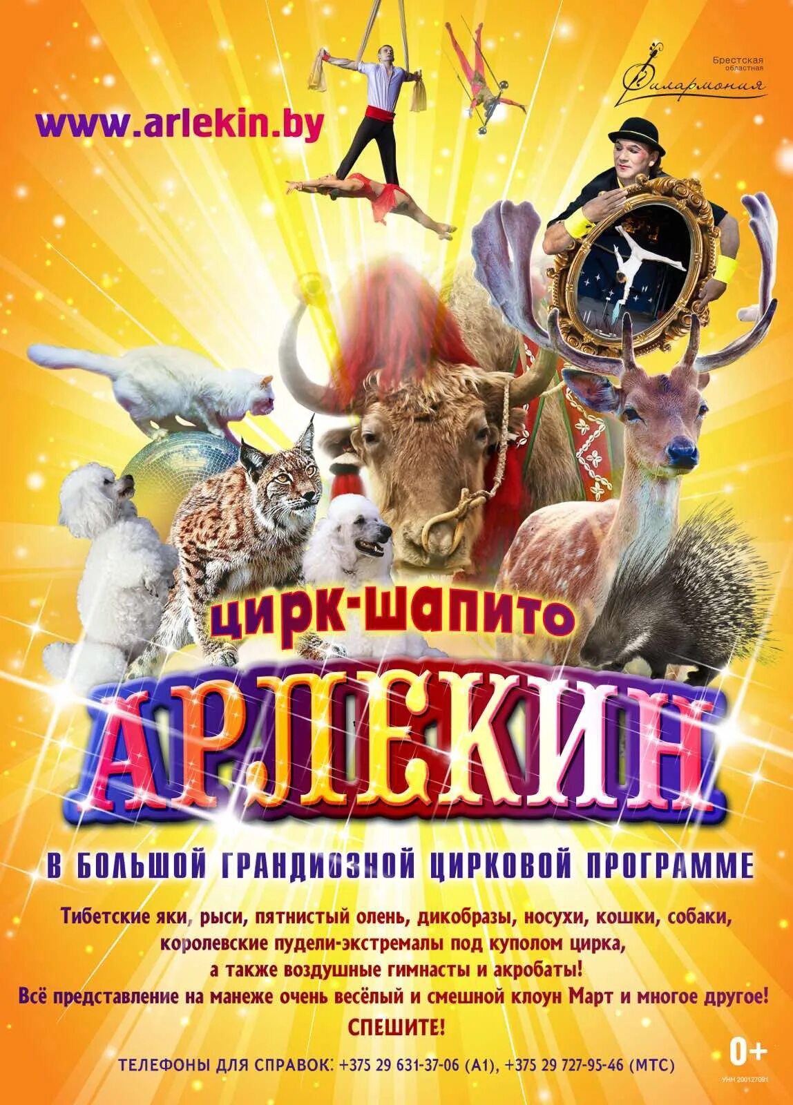 Цирк шапито Арлекин. Цирк шапито Арлекин афиша. Цирк шапито афиша. Цирк шапито билеты.