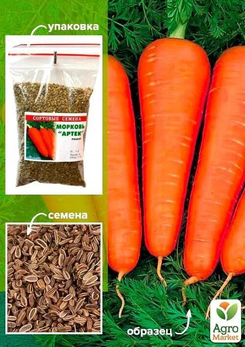 Морковь семена лучшие сорта для открытого. Морковь семена. Морковь семена лучшие. Сорта моркови для посадки. Лучшие сорта моркови.