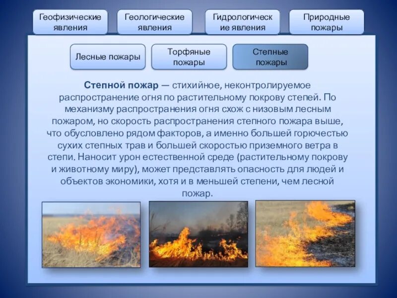 Пожары относятся к чс. Лесные пожары торфяные пожары степные пожары. Лесные и торфяные пожары. Пожар природное явление. Природные пожары степные.