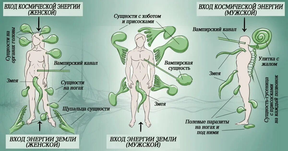 Может ли человек ощущать