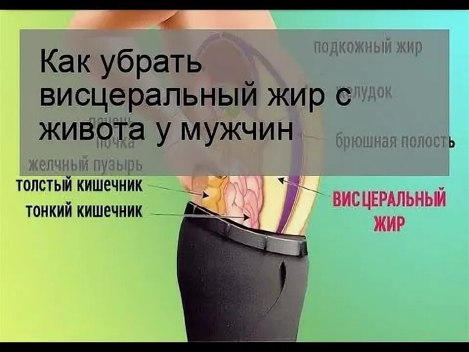 Как убрать внутренний жир. Висцеральный жир у мужчин. убрать абдоминальный жир. висцеральный жир на животе у мужчин. убираем висцеральный жир на животе у мужчин.
