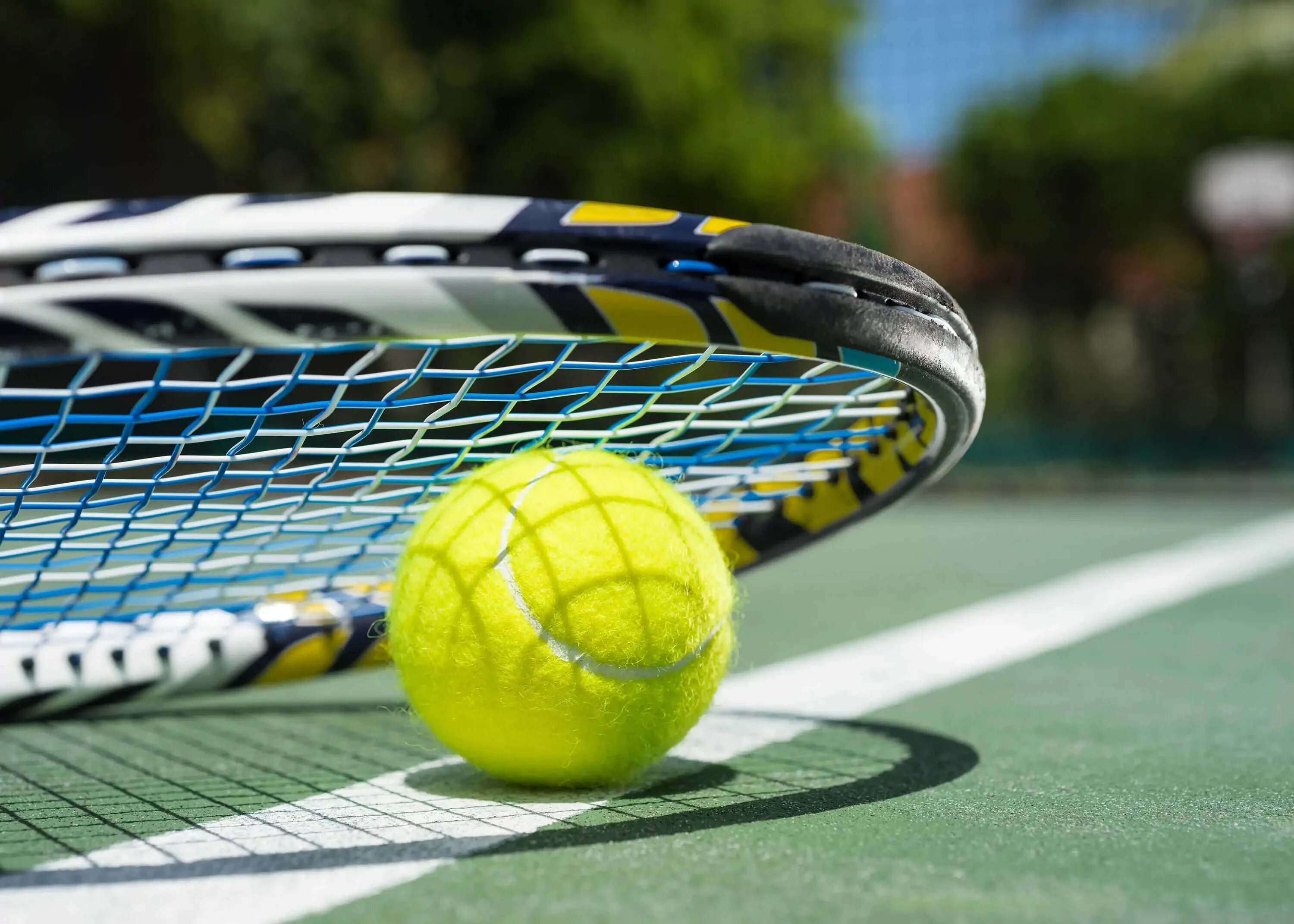 Большой теннис сайт. Теннисный мяч tennis. Большой теннис. Большой теннис сайт. Большой теннис сайт.