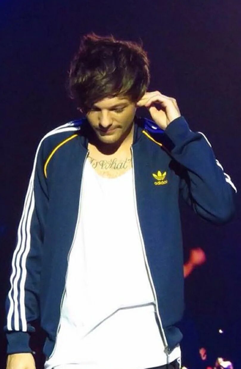 Луи Томлинсон Евровидение. Louis Tomlinson 2022. Louis Tomlinson on Stage 2015. Луи Томлинсон с бородой.