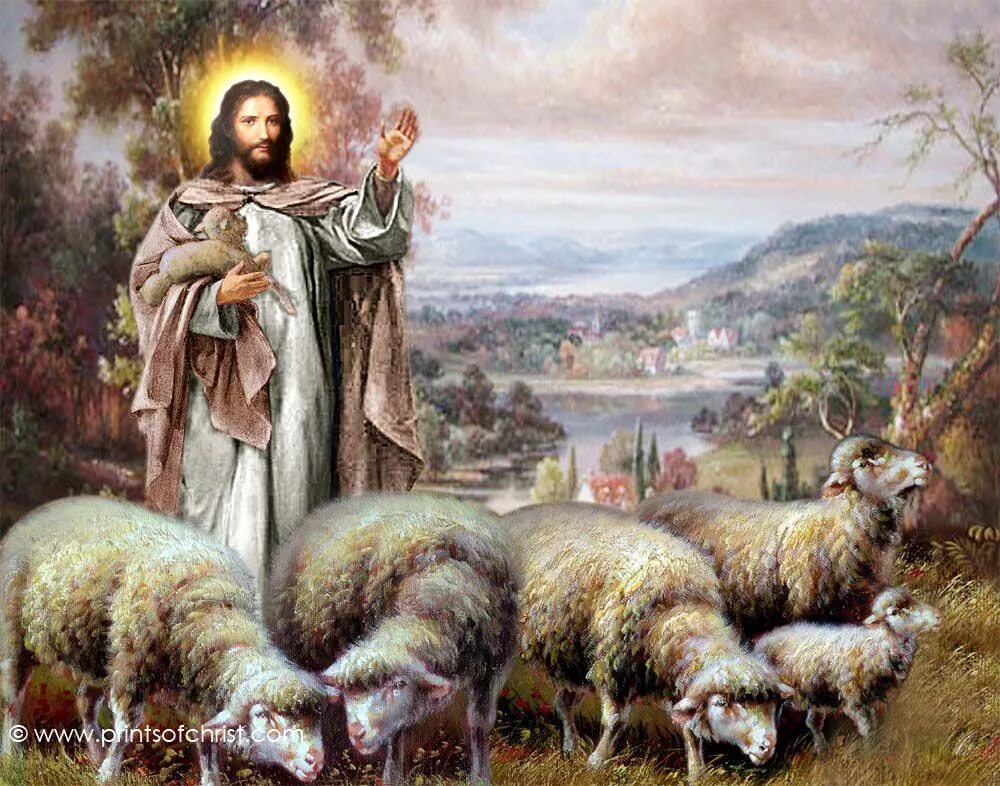 Христос пастырь. Мурильо Христос добрый Пастырь. Икона Спасителя Пастырь добрый. Христианская живопись. Иисус живопись.