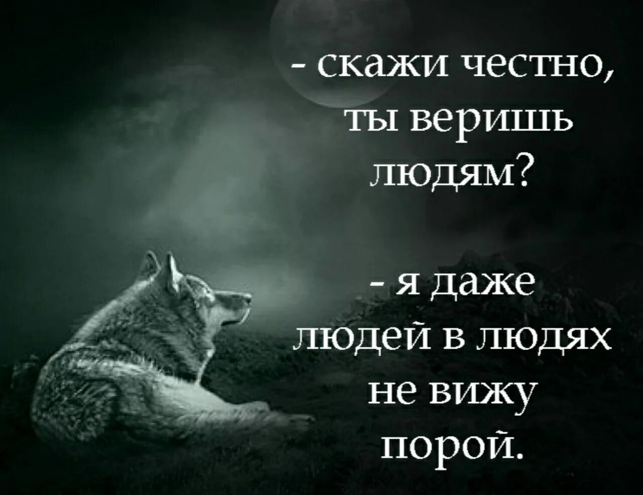 Не верю в срок. Скажи честно ты веришь людям я даже людей в людях не вижу порой. не верьте людям. не верю людям. ты веришь людям.