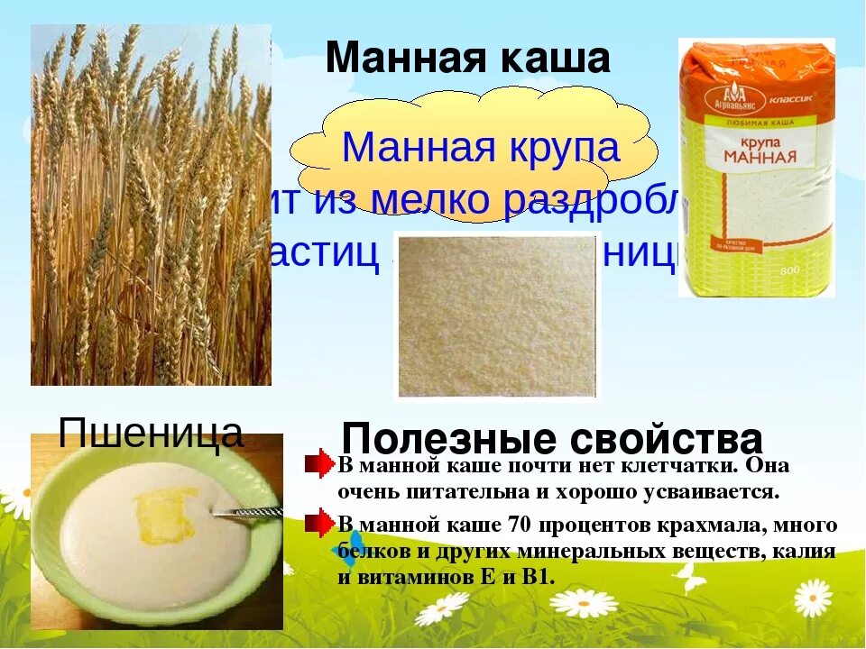 Из чего делают манную кашу
