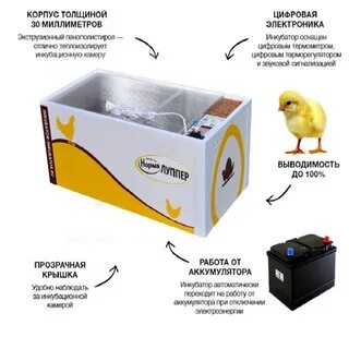 Инкубатор лупер 72