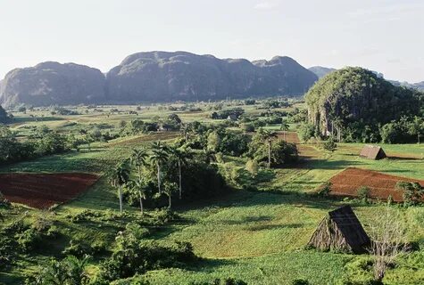 Kora del