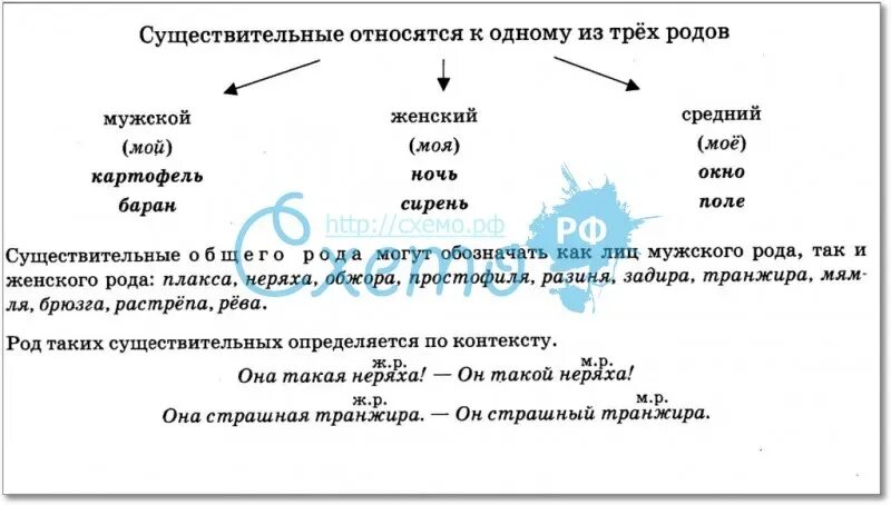 Дайте определение имени существительного 5 класс ответы. Общий род существительных правило. Имена существительные общего рода схема. Существительное общего рода правило. Род имен существительных общий род.