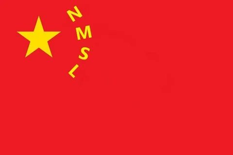 从 Chinese 到 Nmslese 的 转 变.或 将 成 为 我 们 的 机 遇 - Telegraph 