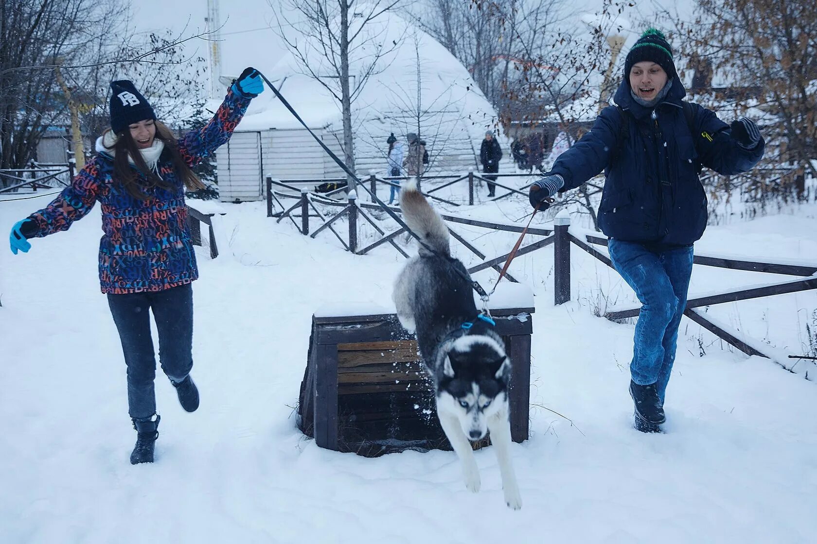 Хаски сказки разбор. Хаски Лэнд Крылатское. Парк хаски Лэнд в Крылатском. Этнокультурный парк «хаски Лэнд». Хаски Лэнд в Москве.