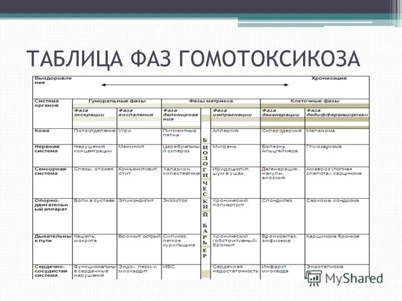 Таблица германий футбол