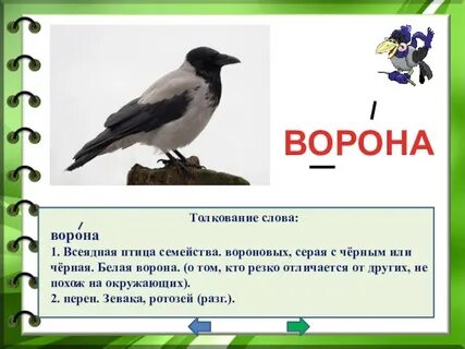 Транскрипция слова вороне