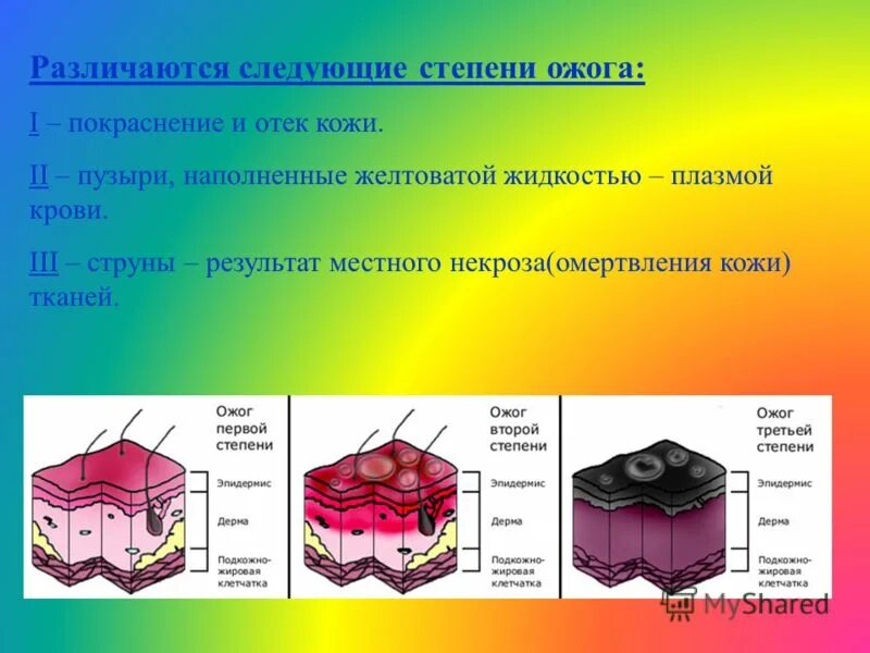 Как долго заживают ожоги 2 степени. Солнечный ожог степени. солнечный ожог 3 степени. солнечный ожог первой степени. солнечный ожог 1 степени.