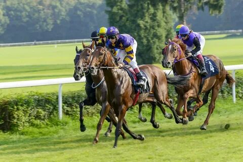 Horse race betting