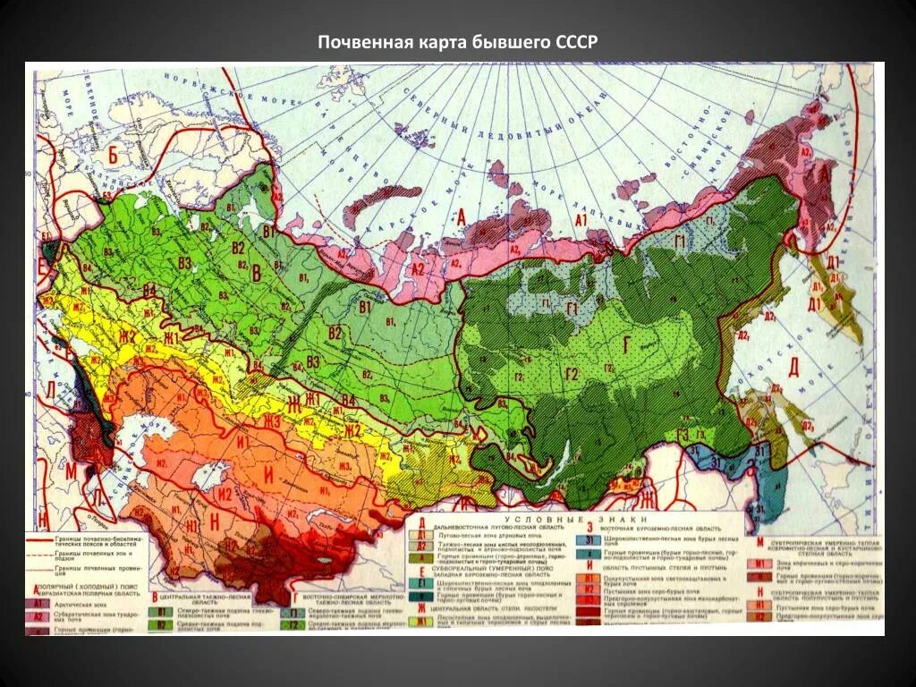 Контурная карта почв россии. Карта почв СССР. Карта плодородия почв РФ. Атлас почв России. Карта естественного плодородия почв России.