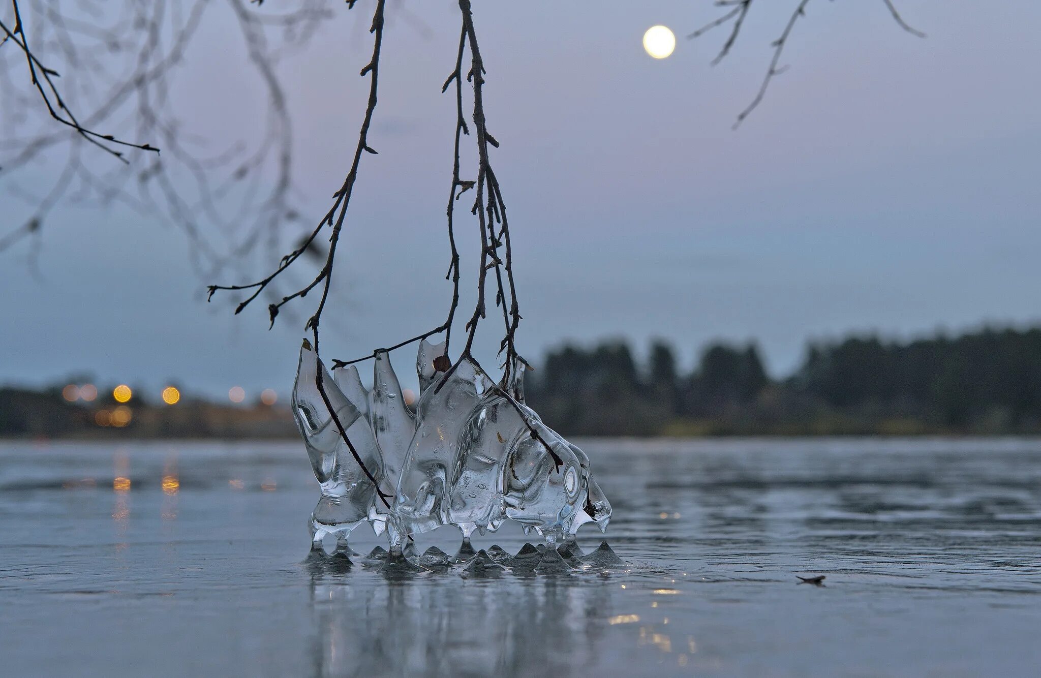 Рингтон растает лед. Деревья во льду. Тает лед. Отражение во льду.