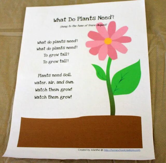 What did you plant. What do plants need to grow. what do the plants grow. как переводится what do we need to grow a flower?. what do need.