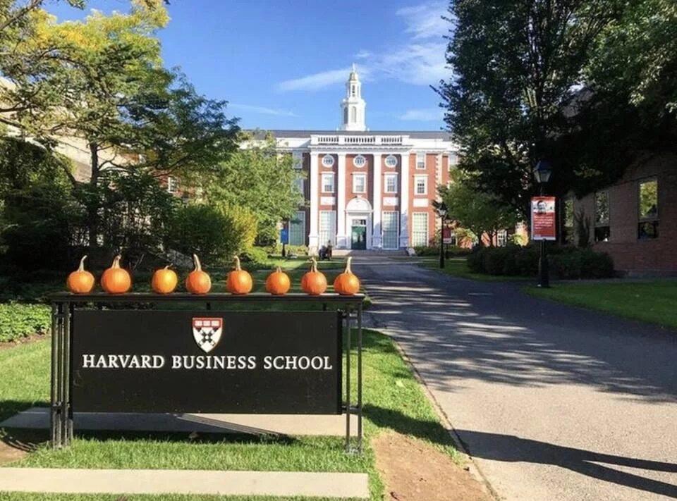 Школа Гарвард. Гарвард бизнес школа. Гарвардская школа СПБ. Гарвардская школа бизнеса