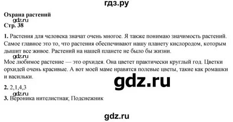 Текст 38