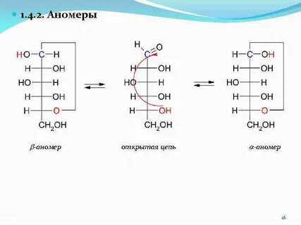 Аномера