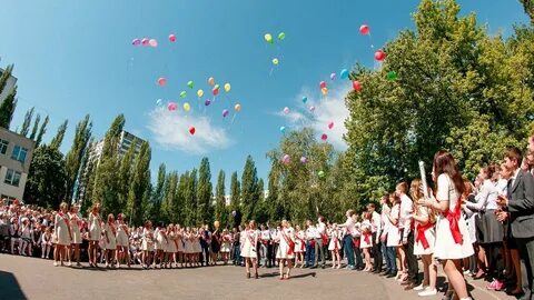 Лицей 3 курчатов