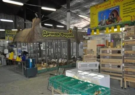 Пушкинский рынок московская область