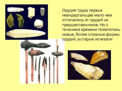 Орудия труда неандертальцев