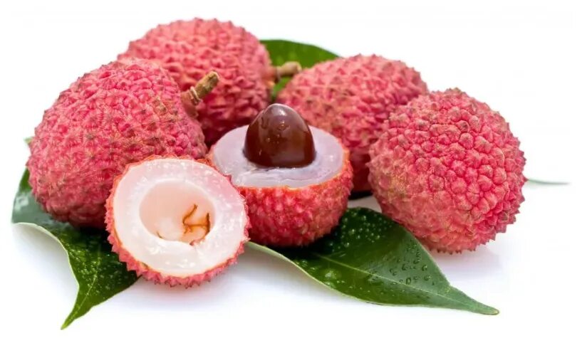 Фрукт личи китайская слива. Ревень личи ягоды. Личи тайланд. С какого возраста можно давать личи. Чем полезен личи.