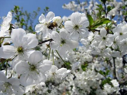 May nature