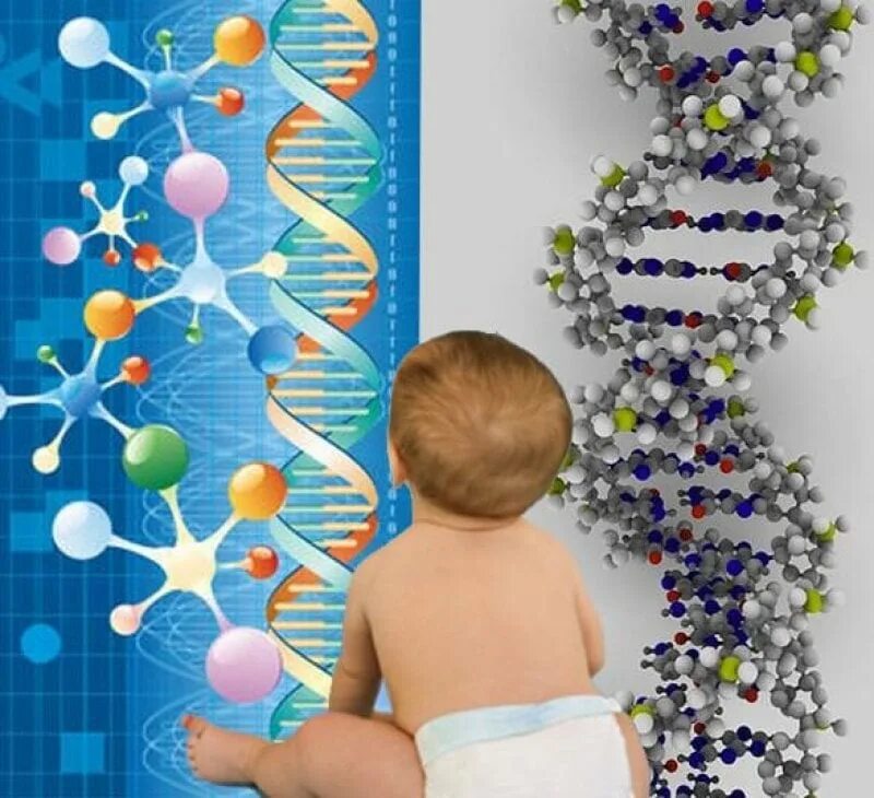 Барбоскины фото. Мама гене. Твою ж мать тебе 35 лет. Мама гены черевкова. Схема наследственности гемофилии.