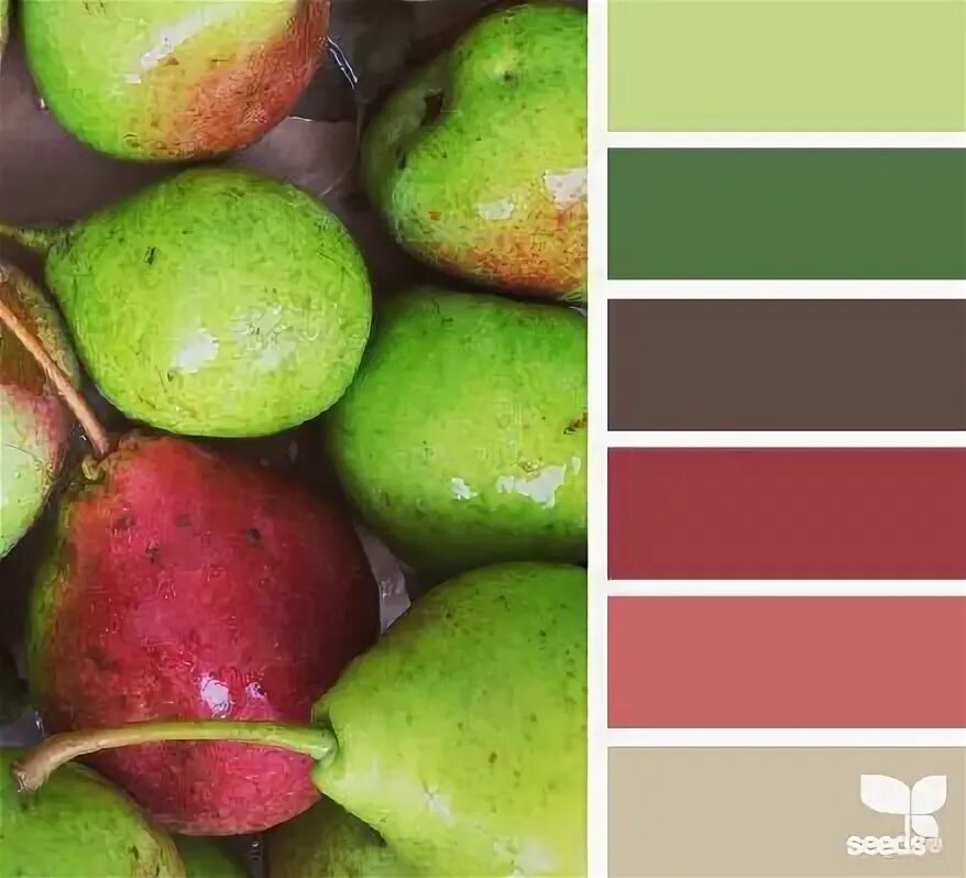 Пин от пользователя ÉLLA MANNU на доске paletas de cores Цветовая палитра, Цвето