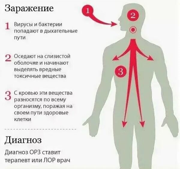 После попадания в организм. Пути заражения ОРВИ У детей. Грипп ОРЗ пути заражения. ОРВИ источник инфекции и пути заражения. ОРВИ способы заражения.