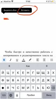 Копировать вставить на телефоне