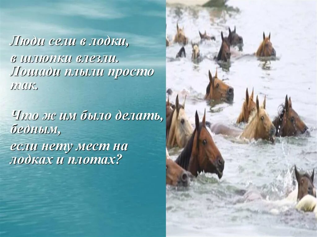 Лошади в океане читать. Слуцкий лошади в океане. слуцкий лошади в океане стихотворение. лошади в океане книга. б а слуцкий лошади в океане.