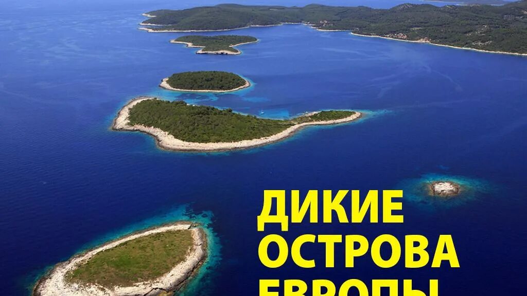 Фрегат сейшельские острова. Про дикие острова. Про дикие острова. Про дикие острова. Про дикие острова.
