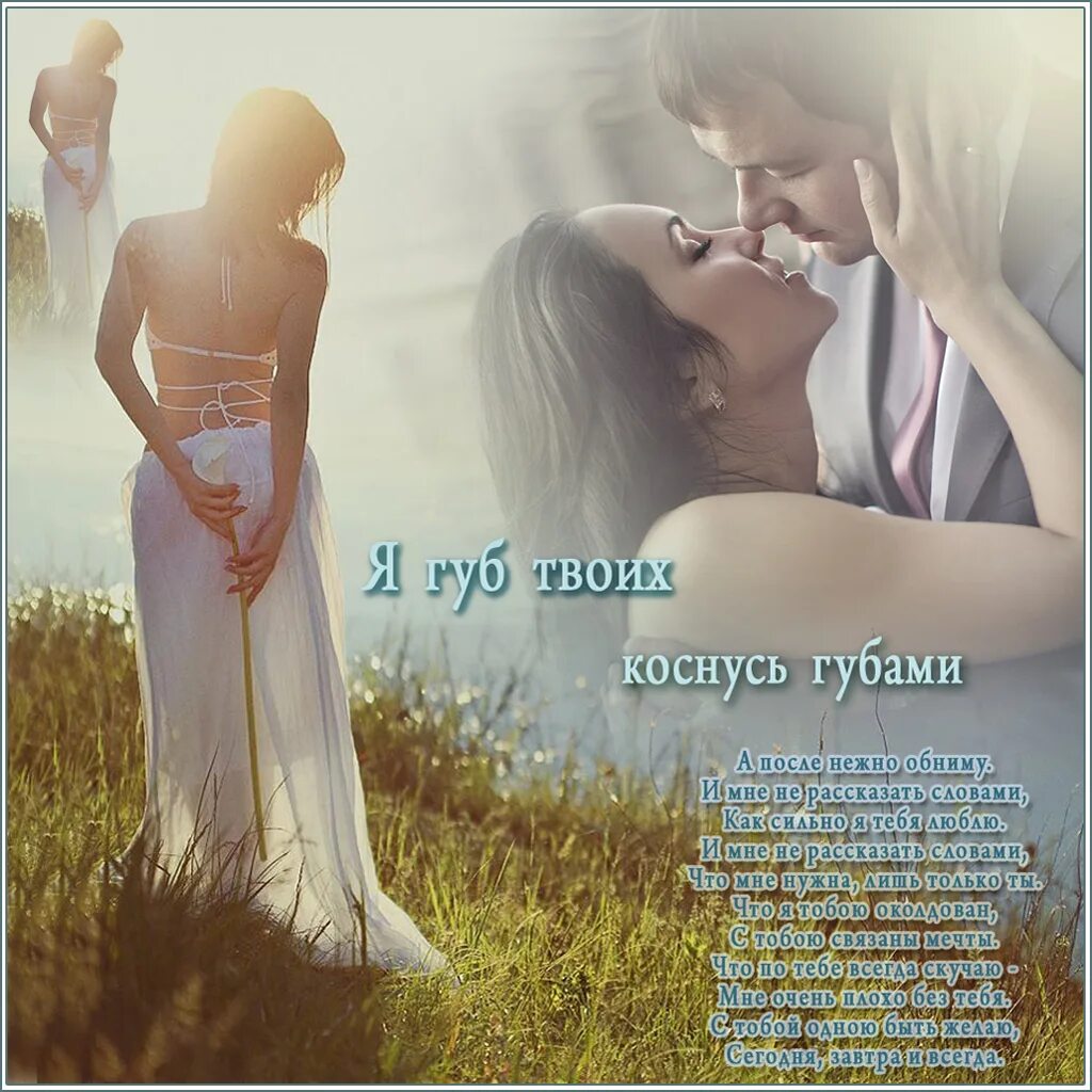 Красивые стихи о нежности. Красивые стихи любимой женщине ласковые и нежные. Королева обниму тебя счастьем минус. Королева обниму тебя счастьем минус. Королева обниму тебя счастьем минус.