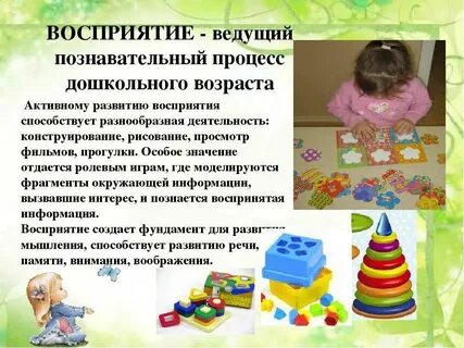 Познавательное развитие детей 1 года
