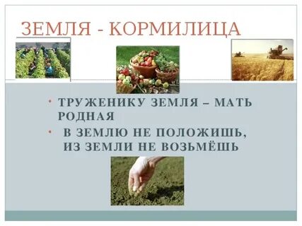 Земля кормилица