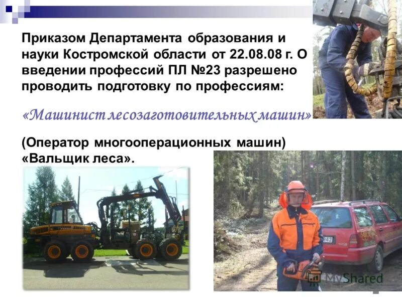 Профессия, связанные с лесозаготовкой. Профессии связанные с заготовкой леса. Информация о профессиях связанных с лесозаготовительными работами. Информация о профессиях связанных с лесозаготовительными работами. Лесная и деревообрабатывающая отрасли.