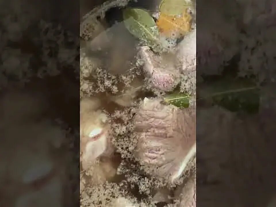 Как правильно снимать пену с бульона Старинная поварская хитрость: для чего нужно держать в кастрюле рюмку или стакан