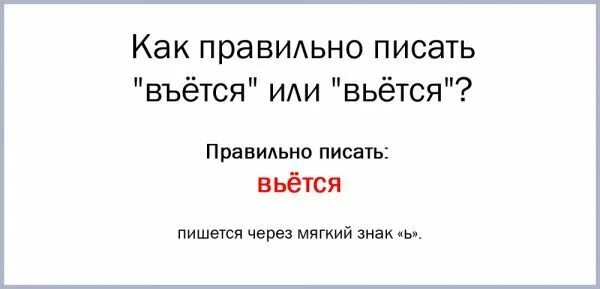 Как пишется слово вьют. Как пишется слово вьется. Вьются как пишется правильно. Вётся как правильно писать. Вьётся или въётся как пишется правильно.