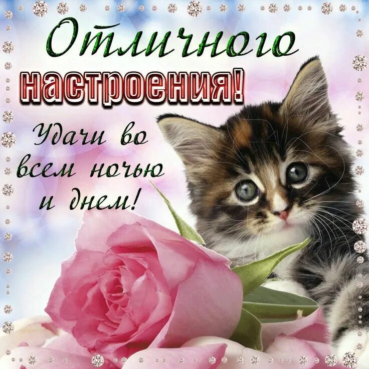 Просто доброго