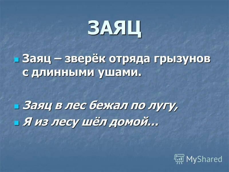 в лес бежал по лугу