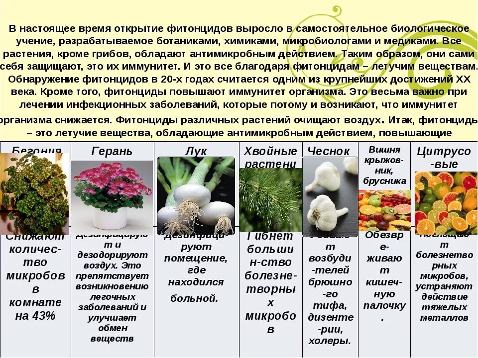 Содержится в статье 2 2