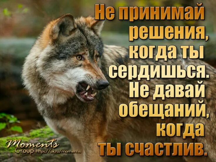 Не давай обещаний которых. Не давай обещаний которых
