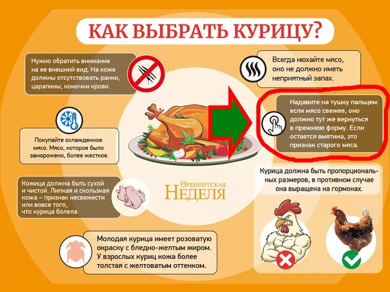 Чем полезна кура. Польза мяса птицы. Полезное мясо. Чем полезна курица. Как выбрать курицу.