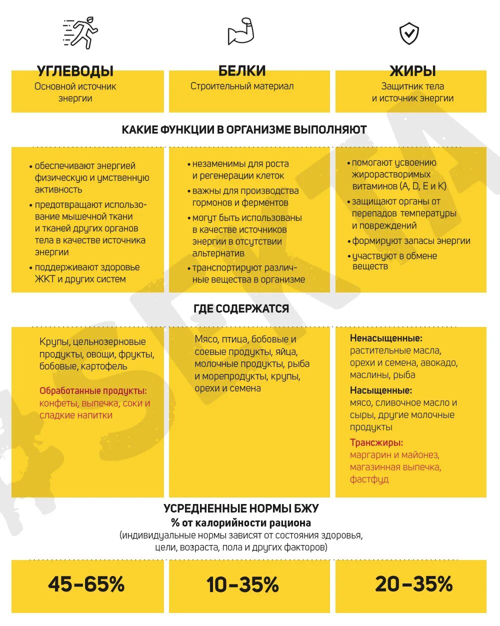 Какие функции выполняют белки и жиры. Функции белков жиров и углеводов в организме. бжу и их функции. белки жиры углеводы и их функции. функции бжу в организме.