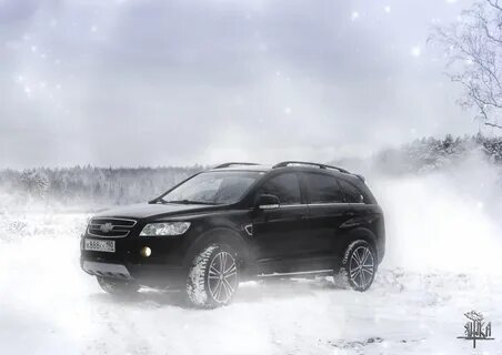 Сто зима