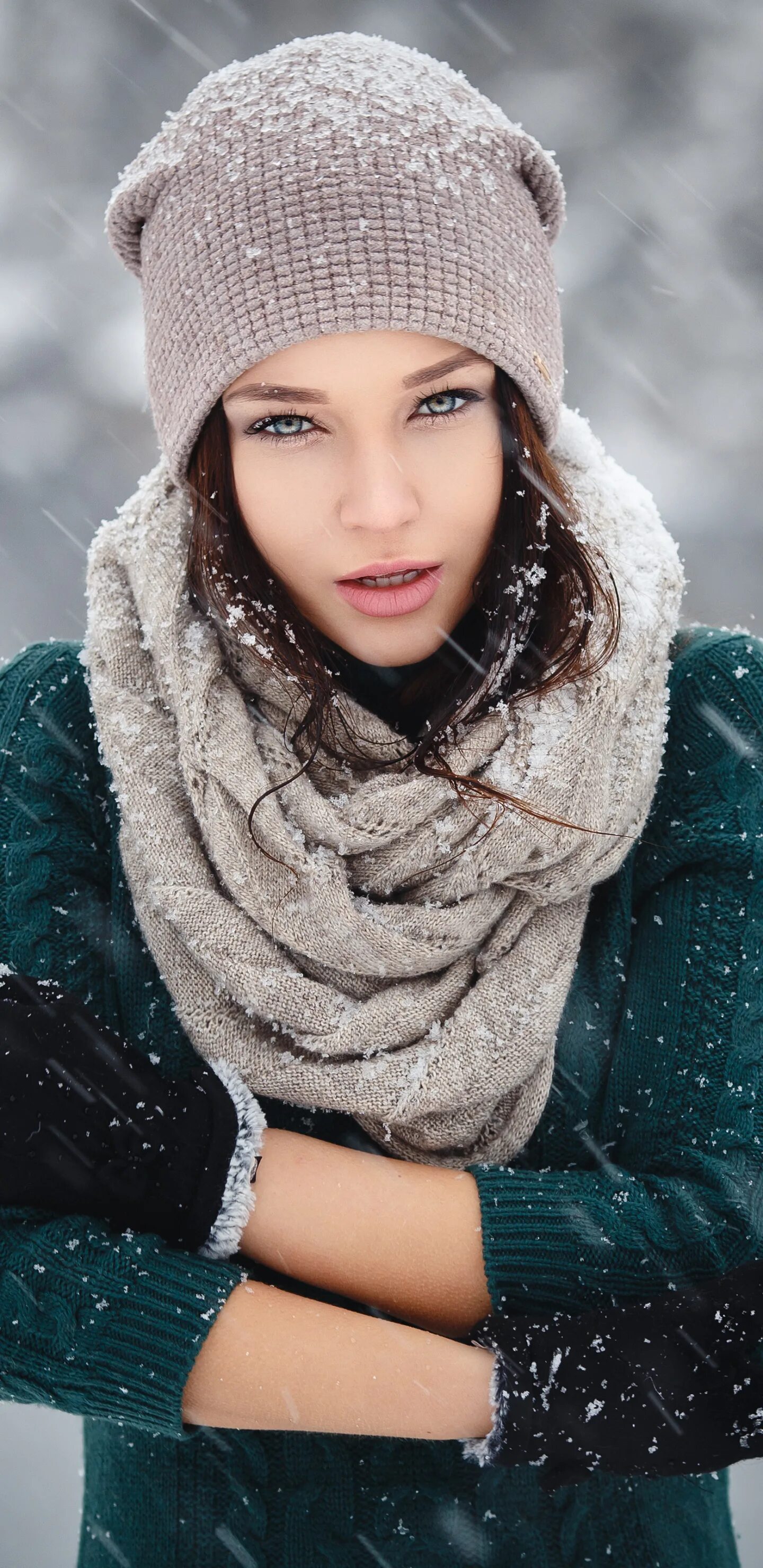 Snow model